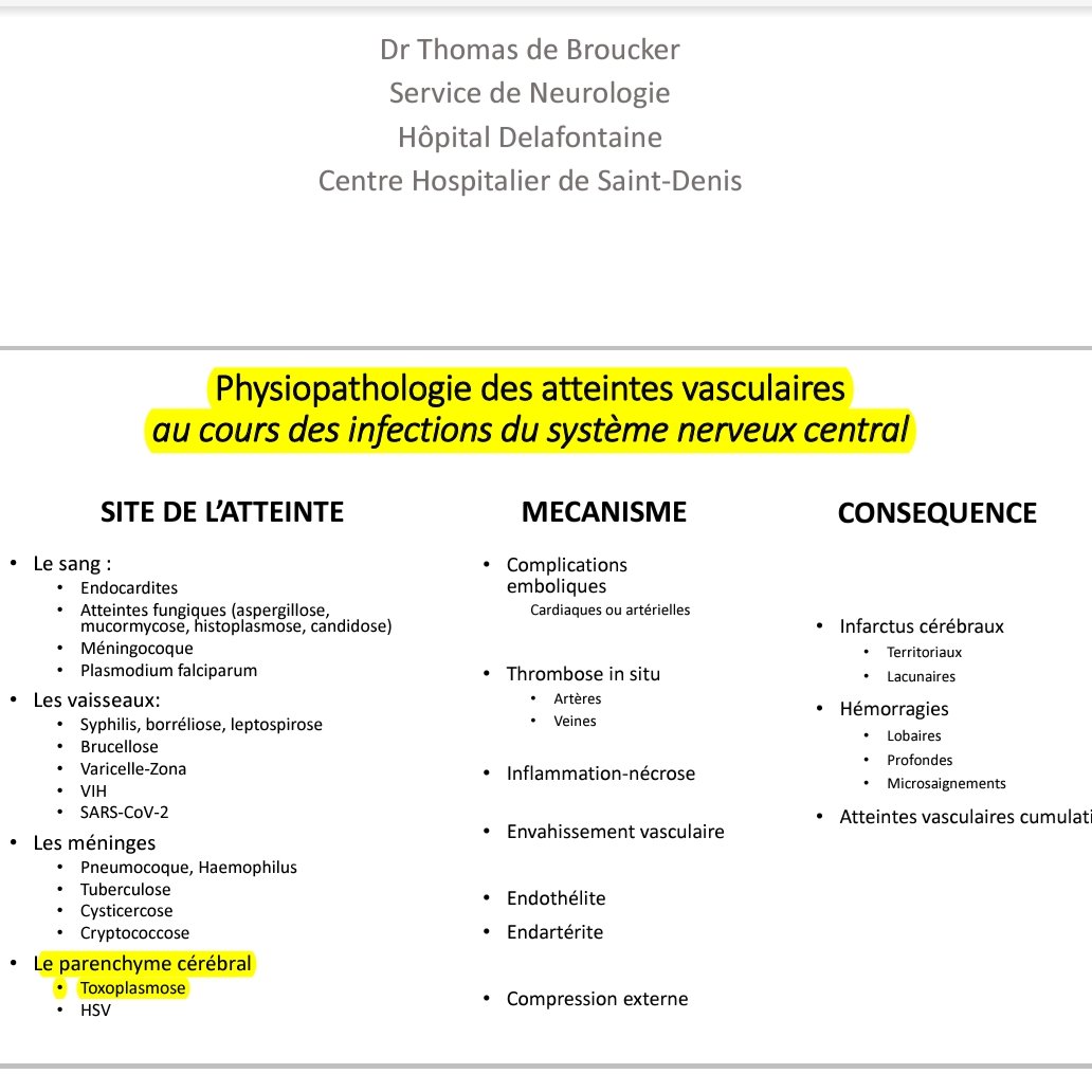 Pic 1: comment le Covid atteint le cerveau Pic 2: comment la toxoplasmose atteint le cerveau Par le parenchyme cérébral... Il y a un moment où tant de coïncidences sont mathématiquement impossibles!Alors j'ai cherché... 