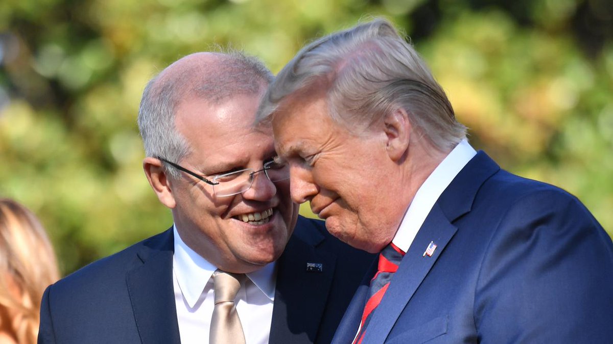 A cockwomble australis pictured interacting with a cockwomble americana /kɒkˈwɒmb(ə)l əˌmɛrɪˈkɑːnə/, aka cockwomble supreme /kɒkˈwɒmb(ə)l suːˈpriːm/. The species are said to be very similar in terms of biology and behavior.
