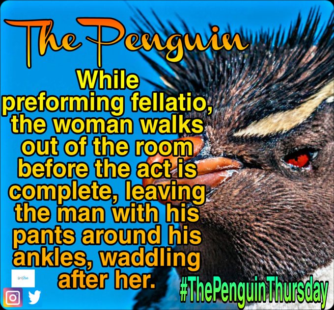 I hope she finishes in the other room . Happy #ThePenguinThursday https://t.co/NmT2885EUi<a href="/tag/thepenguinthursday"class="tags"><span>#thepenguinthursday</span></a>