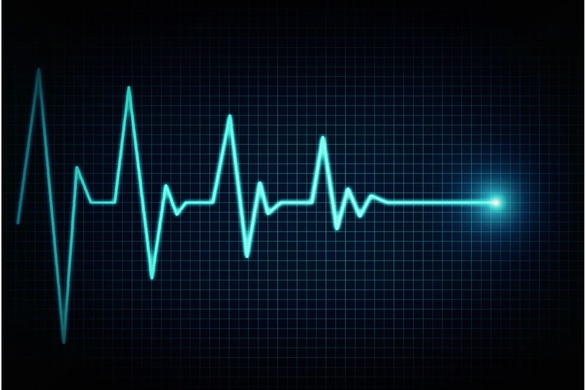 Cashflow is the beating heart of your business 💓

Yet turning a profit is at the heart of running any successful company 💓

So what's more important?
findco.co.nz/cashflow-vs-pr…

(Spoiler alert: they're both important!!)