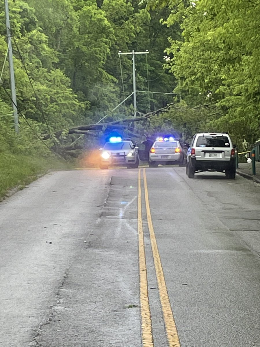 Irene May-Hillmann tweet media