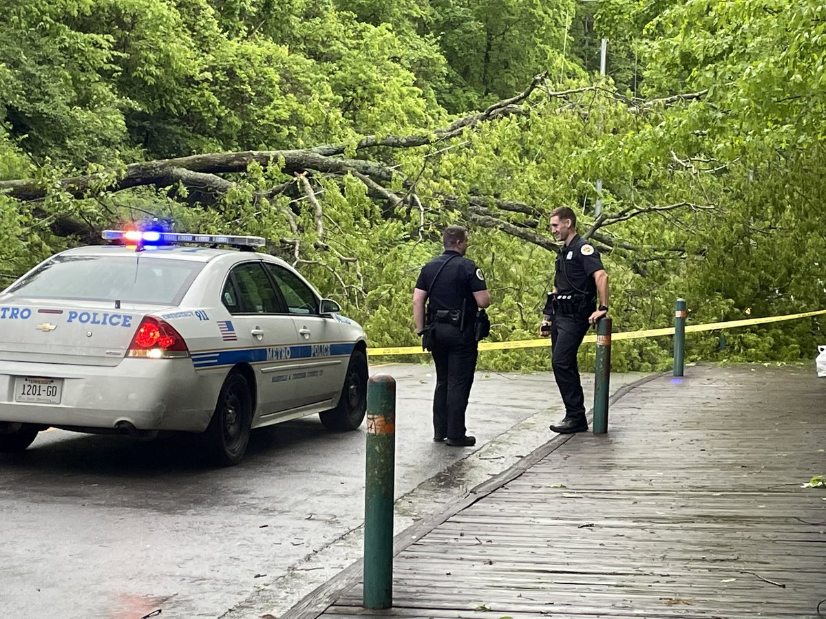 Irene May-Hillmann tweet media