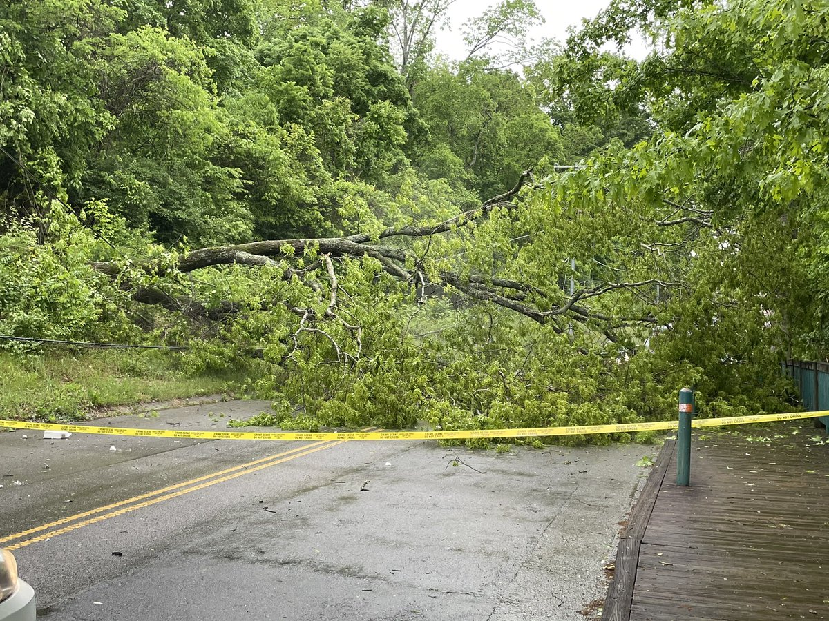 Irene May-Hillmann tweet media