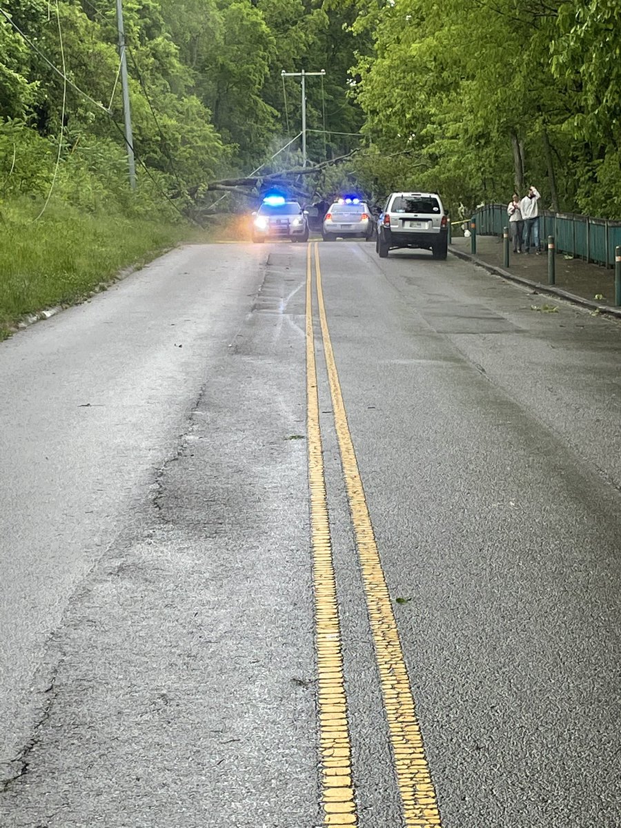 Irene May-Hillmann tweet media