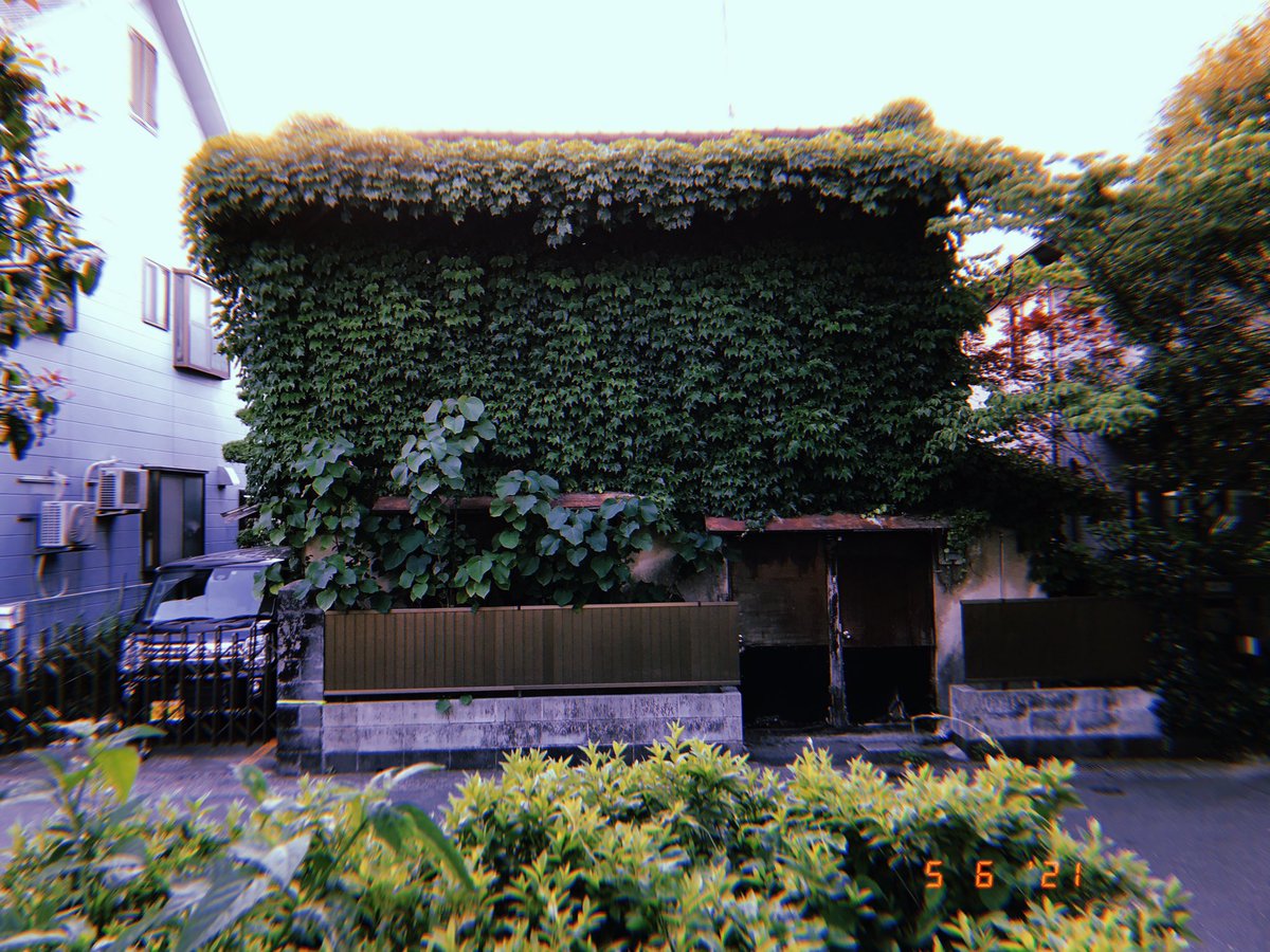 sikbug's tweet photo. Testing out the new noncrop for photos https://t.co/fCwm3hCbIm