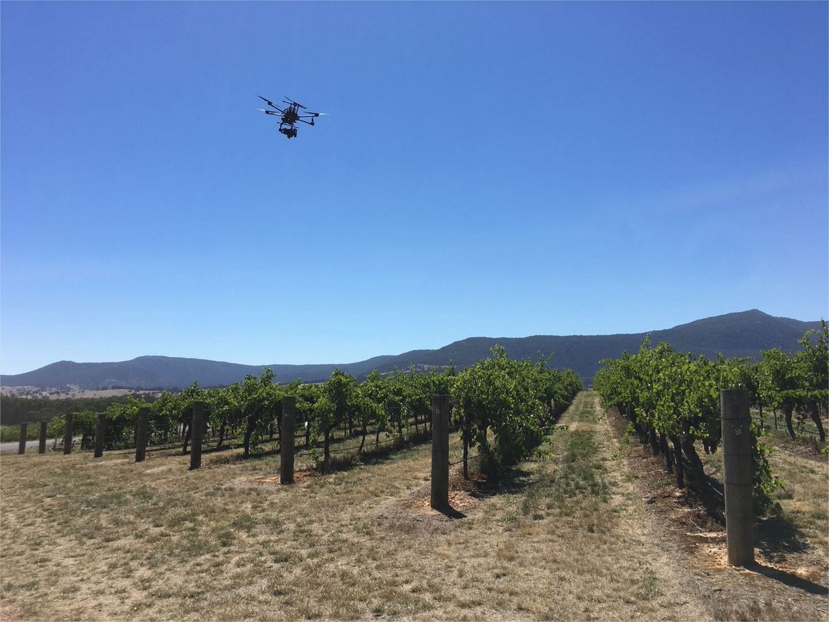 Pablo J. Zarco-Tejada (@zarcotejada) on Twitter photo Our latest paper makes progress on the links between wine grape quality parameters and plant traits using drones & nano-hyperspectral camera. Collaborative work in precision viticulture <a href="/UniMelb/">University of Melbourne</a> & <a href="/HyperSensLab/">HyperSens Lab</a> by @FVASunimelb & @engunimelb & <a href="/IAS_CSIC/">IAS-CSIC</a>
sciencedirect.com/science/articl… Our latest paper makes progress on the links between wine grape quality parameters and plant traits using drones & nano-hyperspectral camera. Collaborative work in precision viticulture <a href="/UniMelb/">University of Melbourne</a> & <a href="/HyperSensLab/">HyperSens Lab</a> by @FVASunimelb & @engunimelb & <a href="/IAS_CSIC/">IAS-CSIC</a>
sciencedirect.com/science/articl…