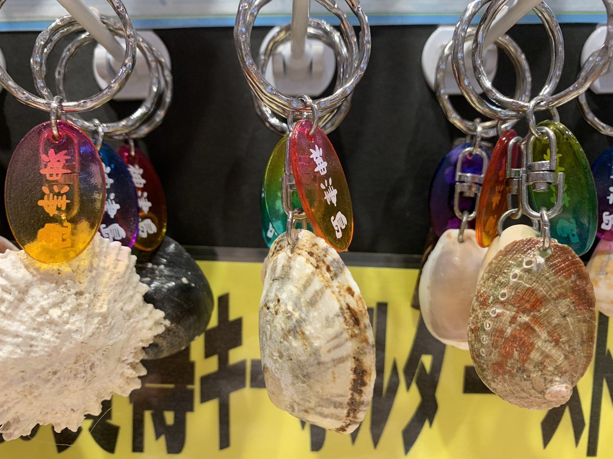 専用♡オランダ きらきら貝殻オーナメントプレゼント♡ 専用♡オランダ きらきら貝殻オーナメントプレゼント♡