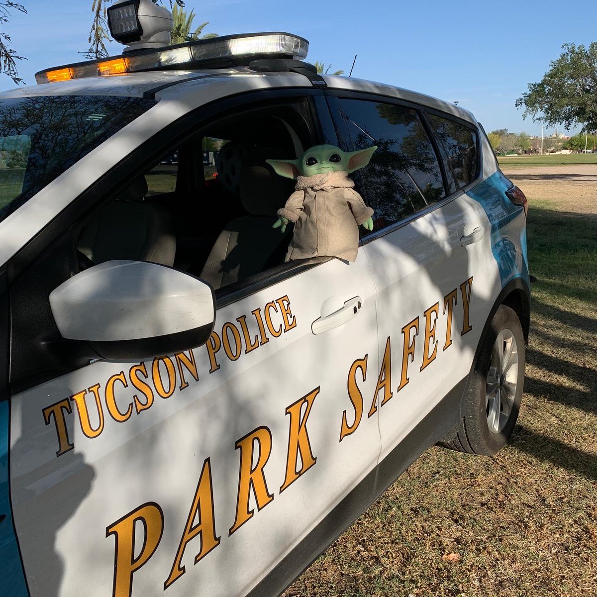 TPD Park Safety/HOT tweet media