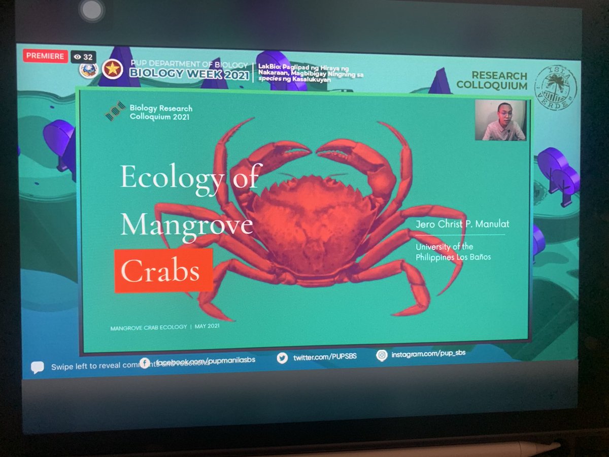 Ecology of Mangrove Crabs by  @jerochristm 