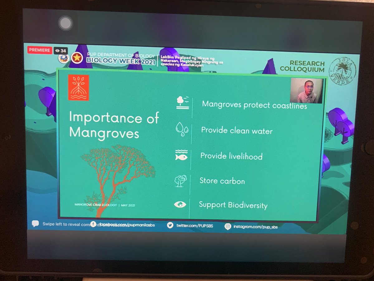 Importance of Mangroves 