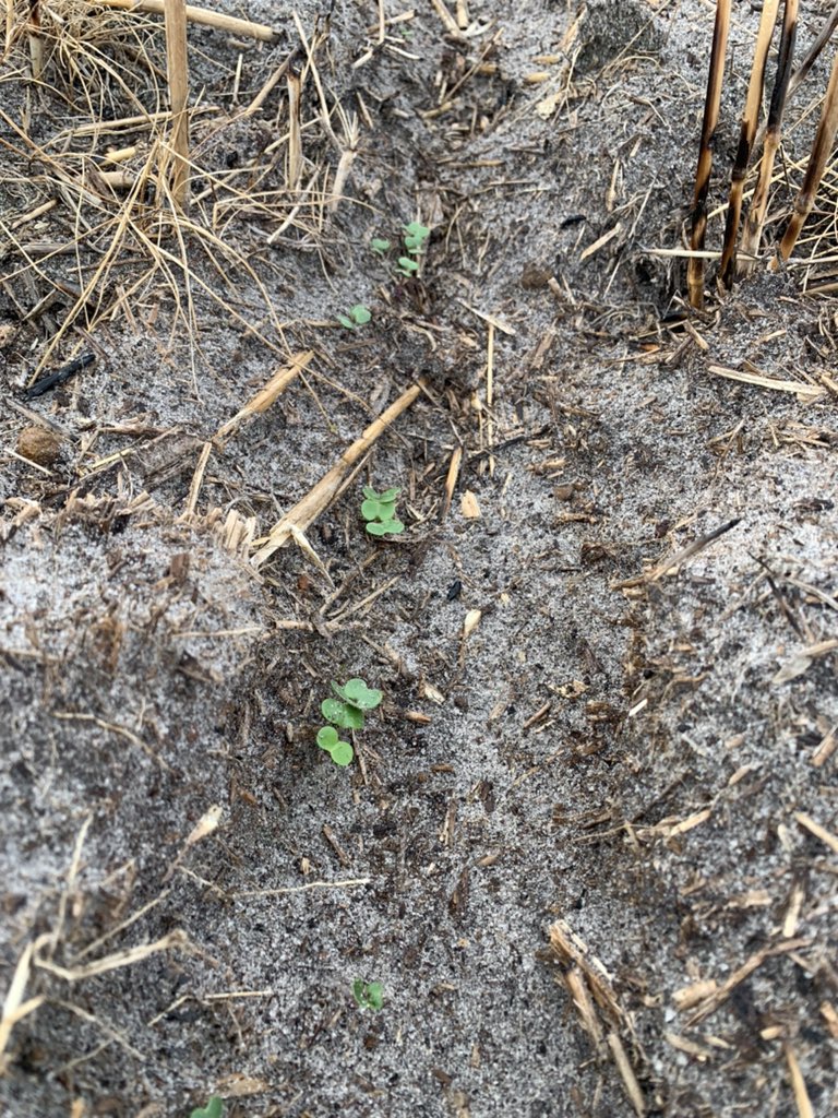 Hopefully this is a sign of things to come in 2021! <a href="/Robghia3518/">Rob Hughes</a> <a href="/Seasagro/">Luke Marquis</a>