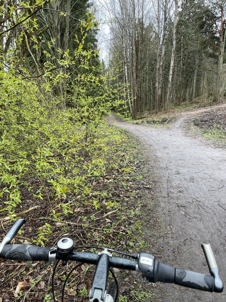 It’s getting greener! Biking to work #fridaymorning #helsinki https://t.co/57rZJMdEqA