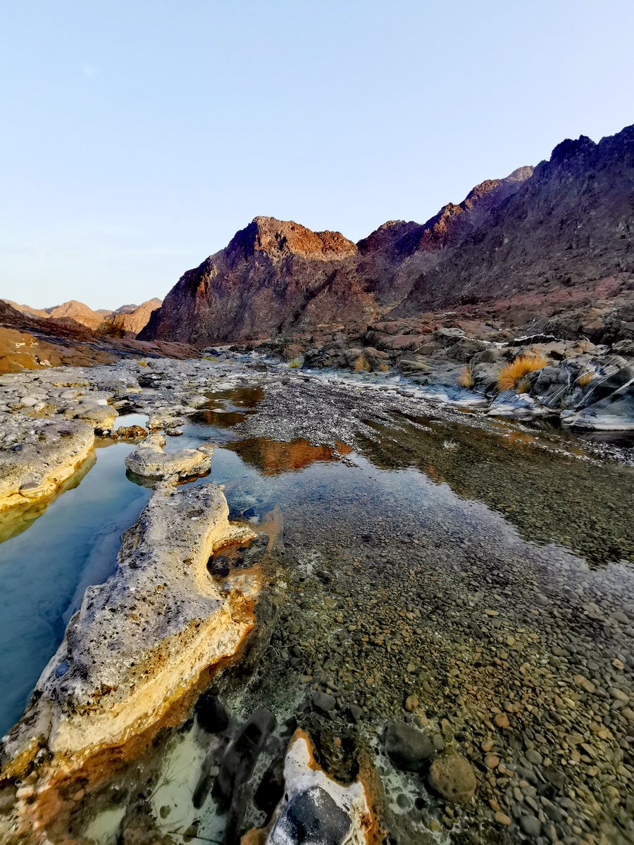 ramee_12's tweet photo. #صباح_الخير https://t.co/4LAKV2p59v