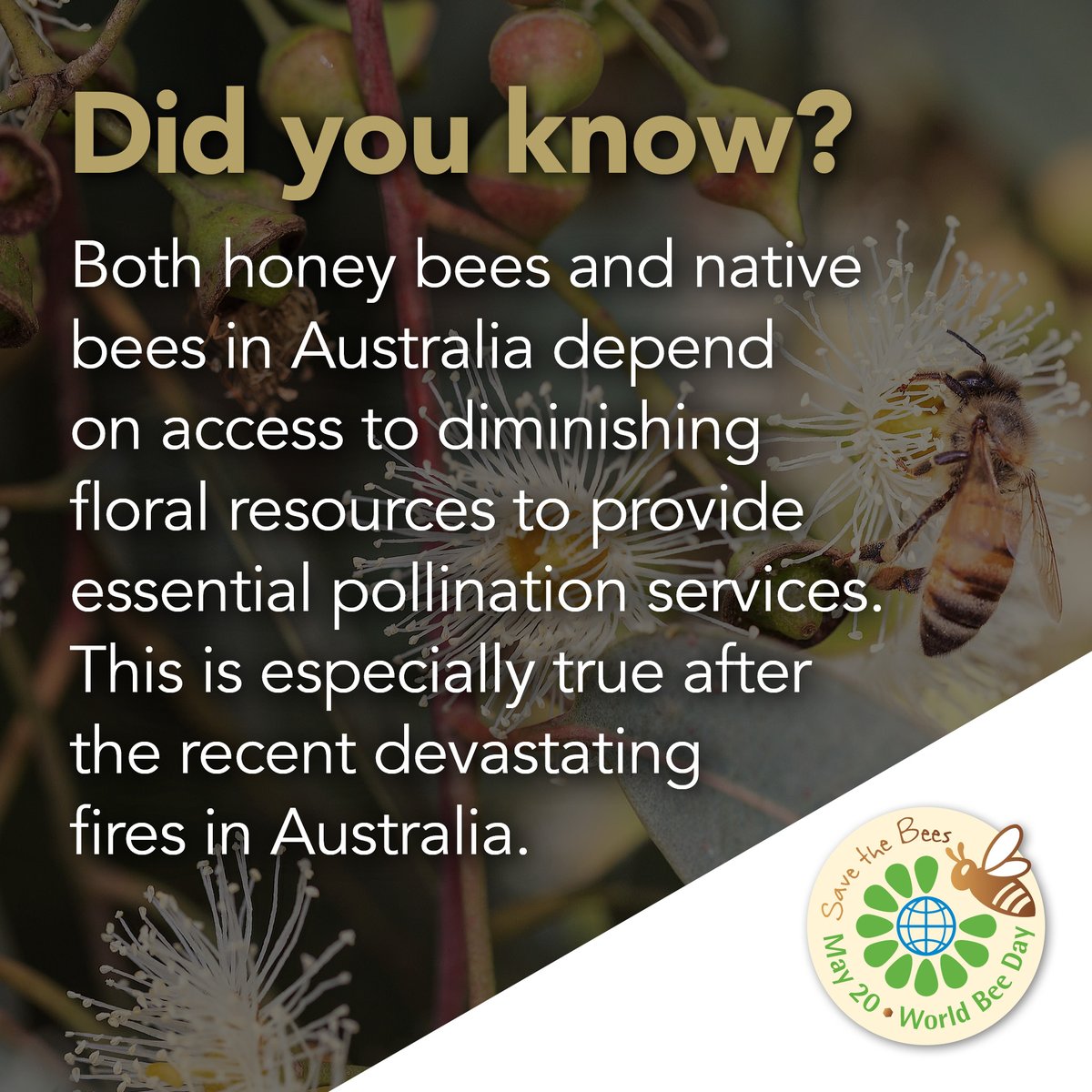 Did you know.....