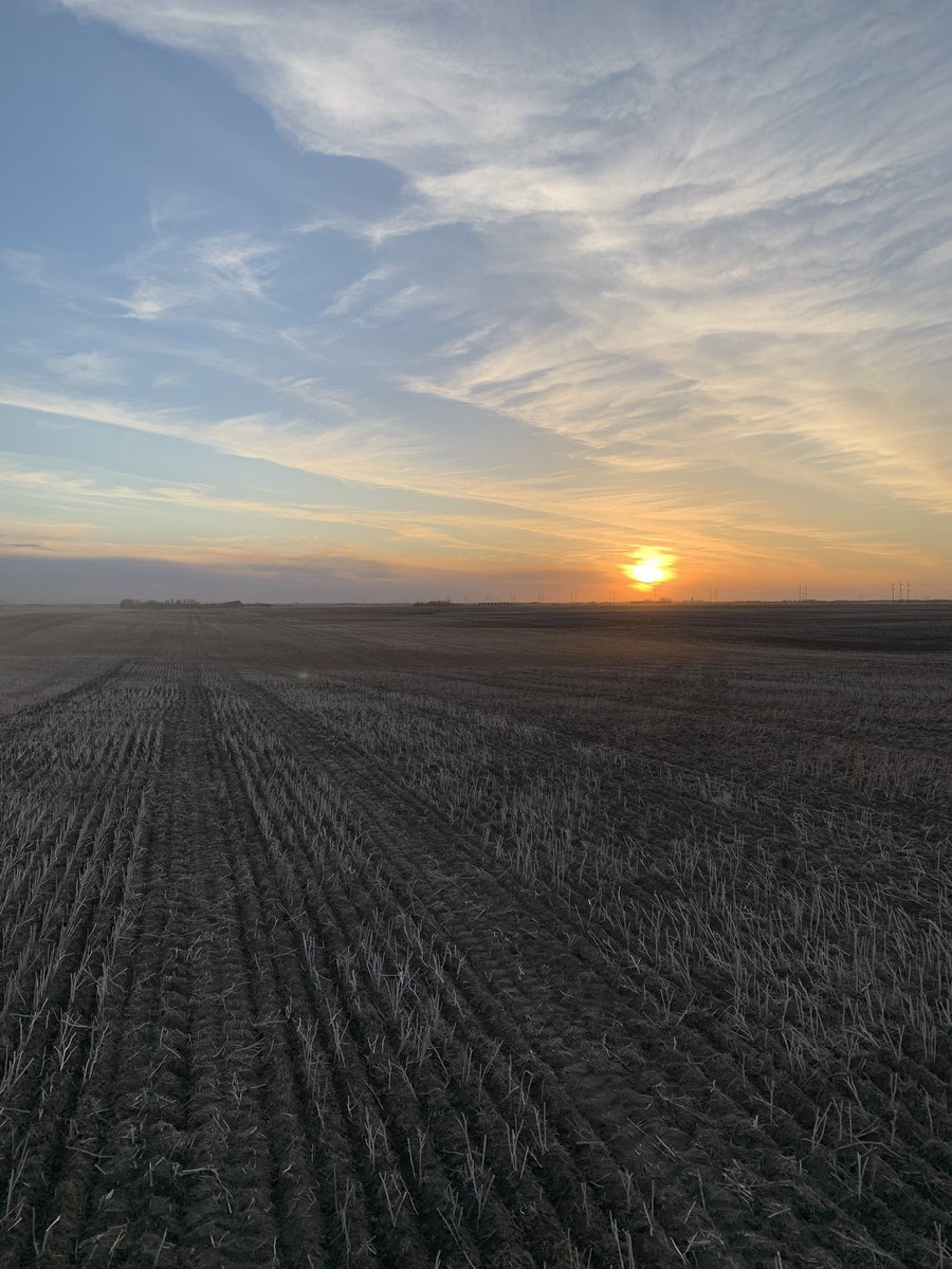 Byron Bitz tweet media