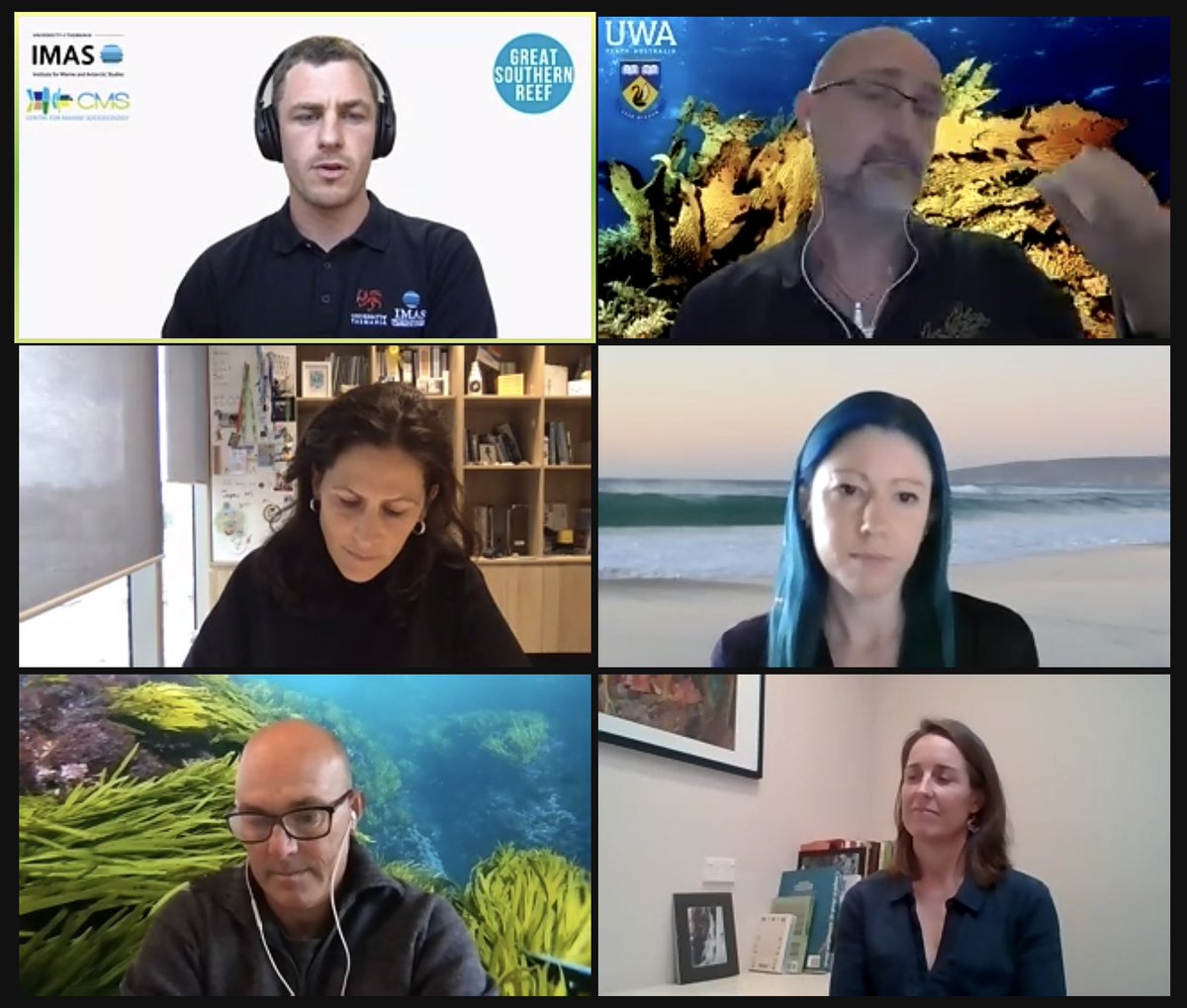 #GreatSouthernReef webinar is live. Join at utas.zoom.us/j/82955811972