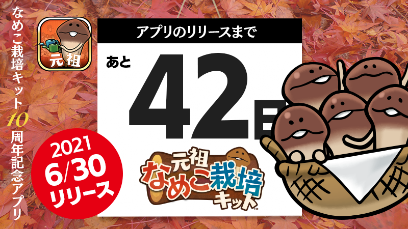 6時30分になりました⏰ 初代なめこ栽培キット図鑑No.42 なめこ