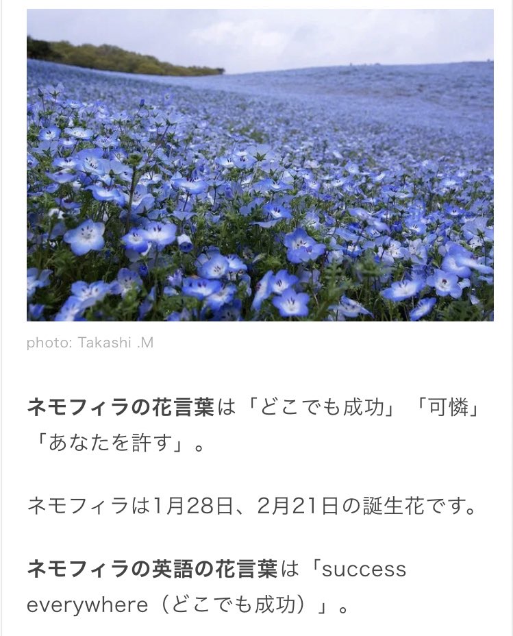 なみ V Twitter ネモフィラの花言葉が どこでも成功 で泣いた Mr Perfectこと一ノ瀬トキヤをこの曲に誘って下さったの まじで 本当に 感謝しかなくない 宮田くんも一ノ瀬トキヤも どこでも 成功 を納められますように T Co