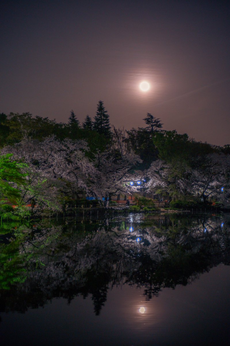 Hiro S Tweet 縦写真対応 風船飛んだ記念 その2 自分はまだ縦表示されないけど スマホの壁紙にしてやって下さいませ 縦長サムネ 壁紙配布 Trendsmap