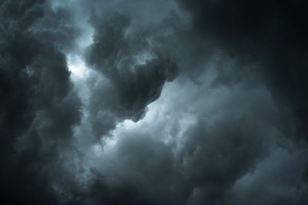 𝑨𝒍𝒚𝒂 tweet media