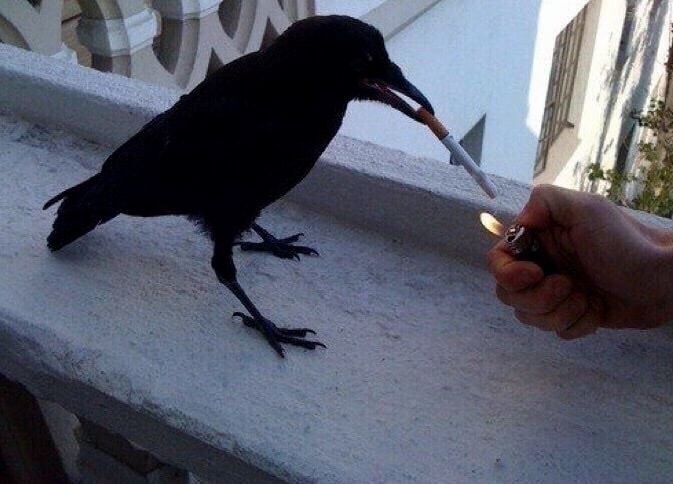 'Edgar Allan Poe? I haven't heard that name in ages'
