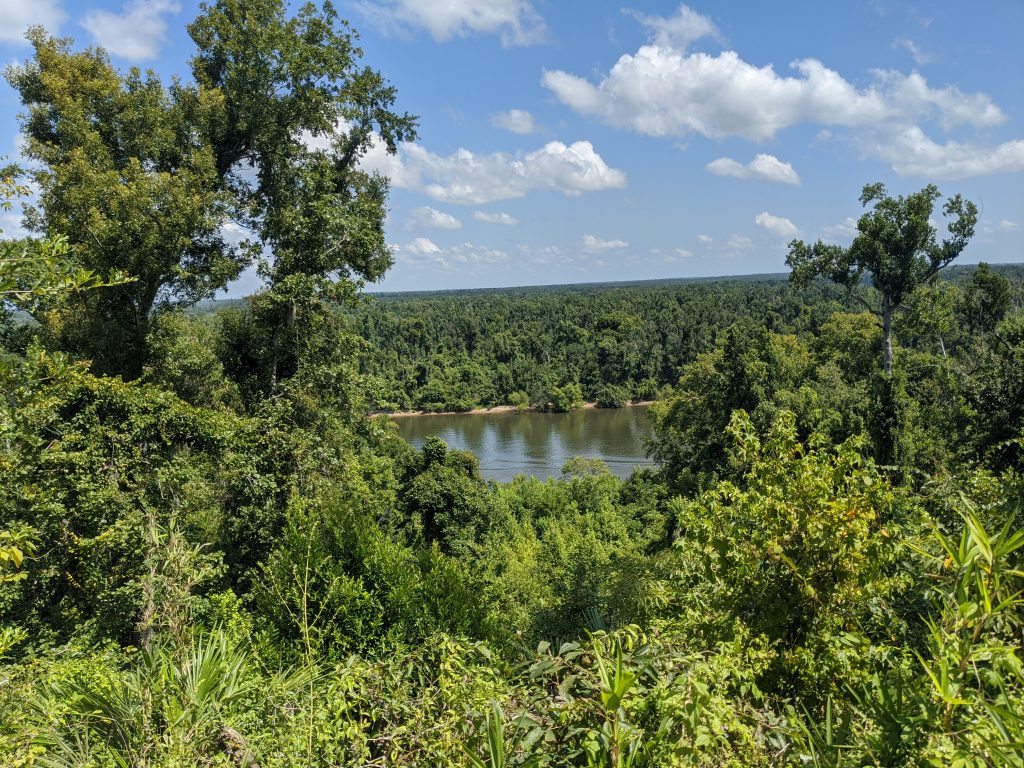 After less than 2 hours in the forest we had reached the back of the Gregory house where there was a viewpoint of the Apalachicola River.