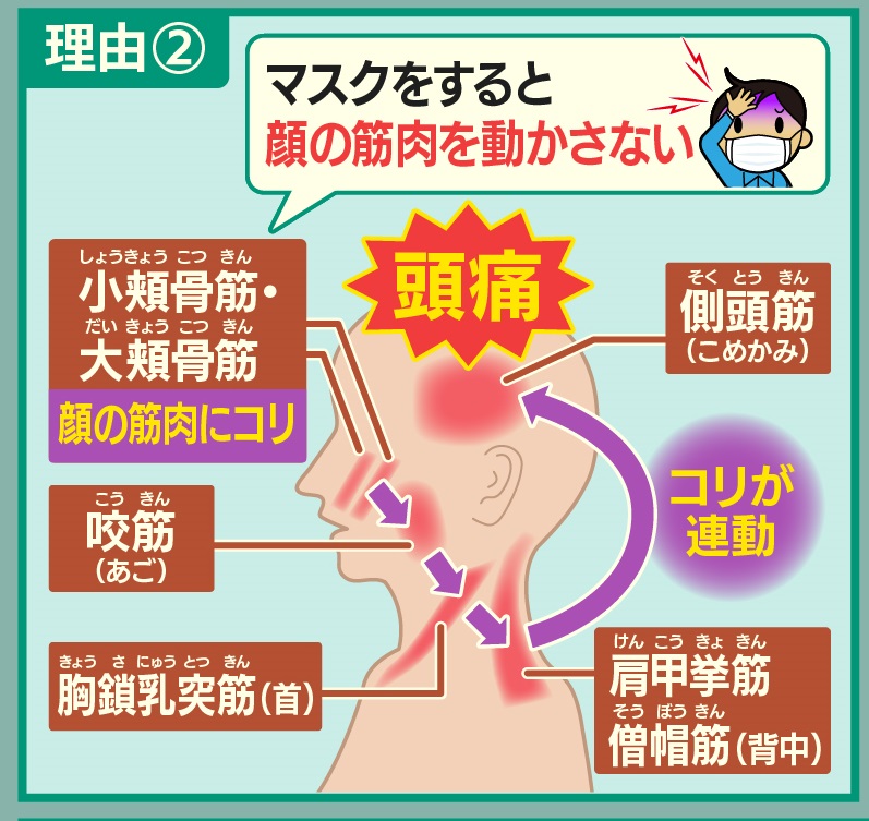 羽鳥慎一モーニングショー 緊張型頭痛 が起こる理由 は マスクをすると顔の筋肉を動かさないため 顔の筋肉がこり あご 首 背中 こめかみと こりが連動し頭痛が起きます T Co 75fmgvnzyb Twitter