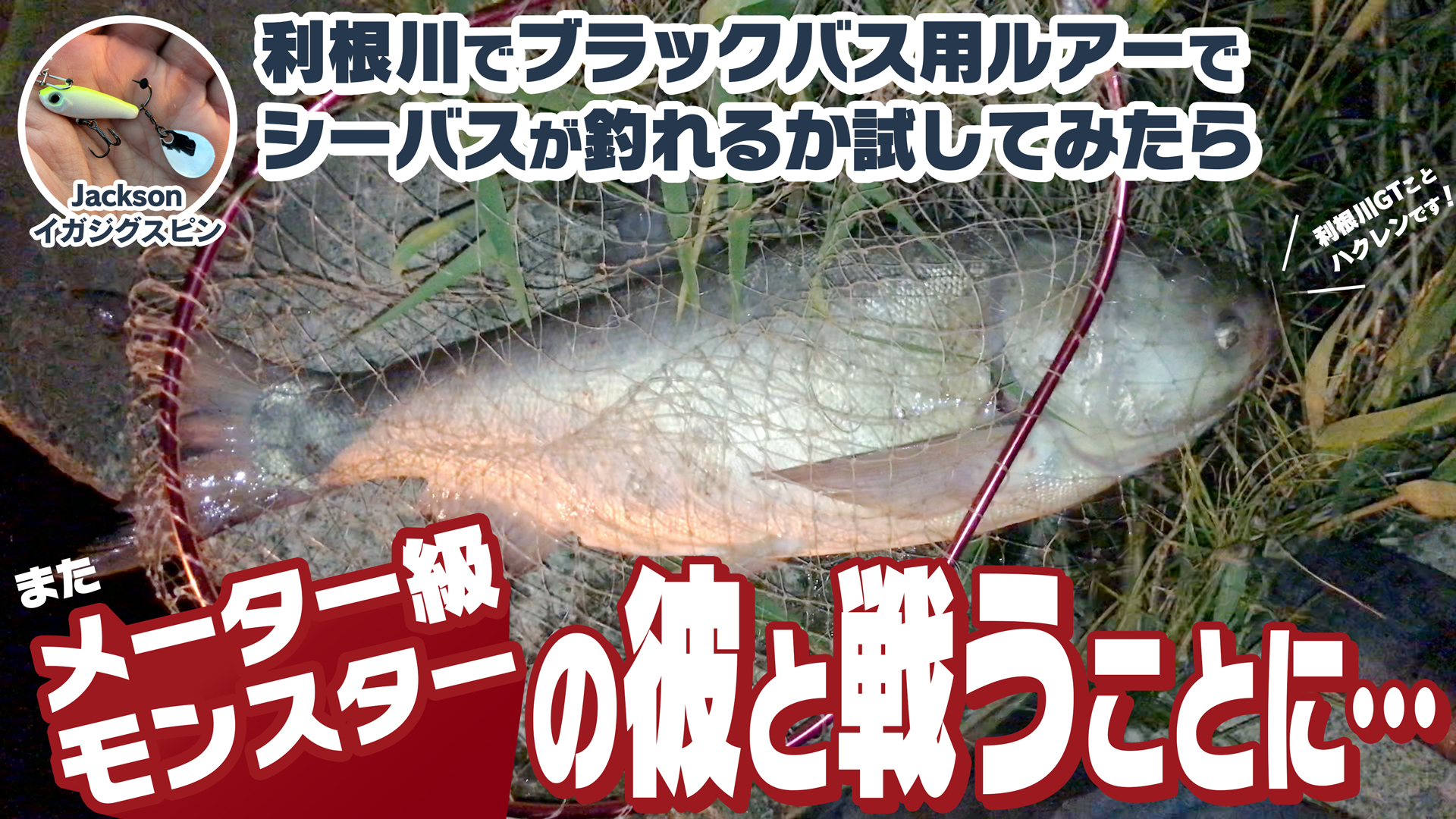 Luretist V Twitter 具屋さんでマイクロベイトパターンに使えそうなブラックバス用ルアーを見つけたのでさっそく利根川でシーバスが釣れるか検証してみました T Co Wz6xim7xo8 シーバス 利根川 利根川gt ハクレン イガジグスピン ワスプスラローム50s