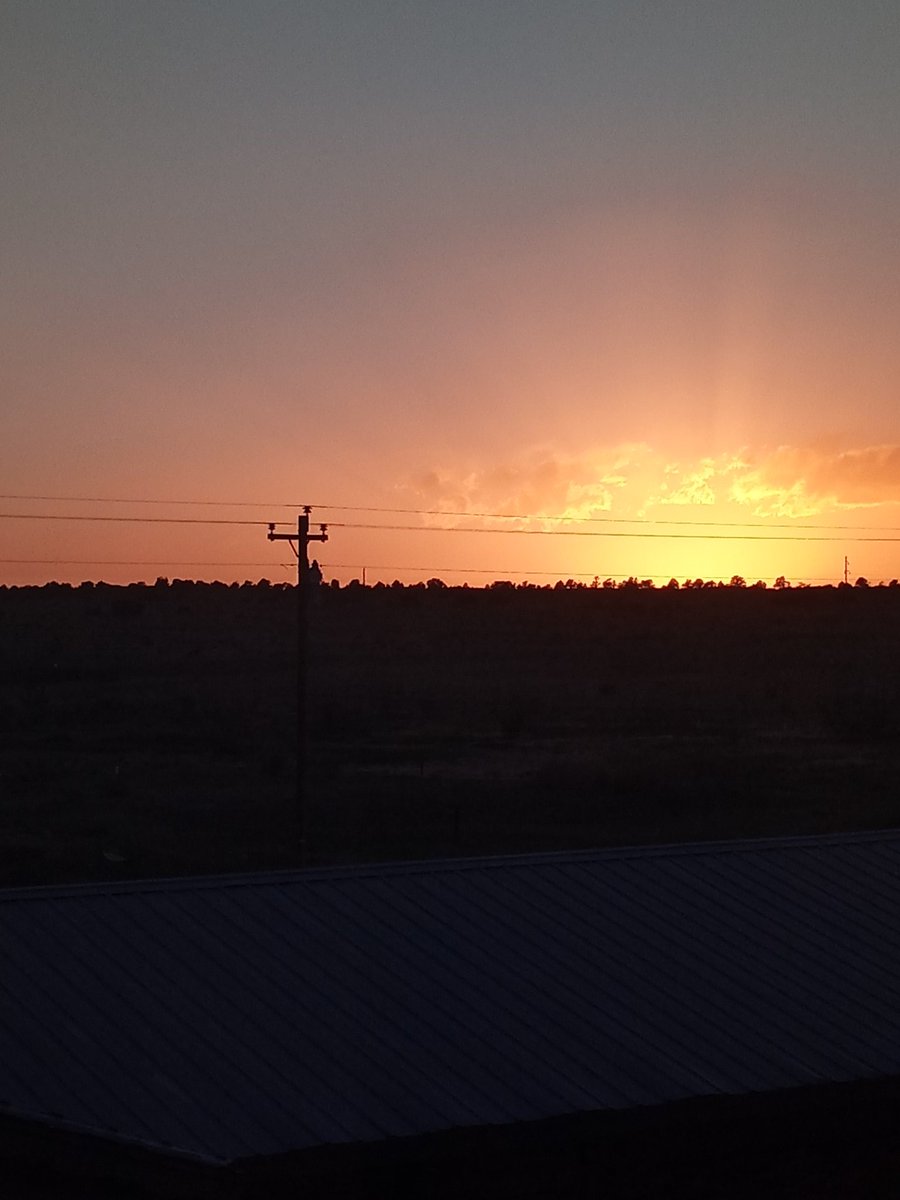 mc_pump's tweet image. 