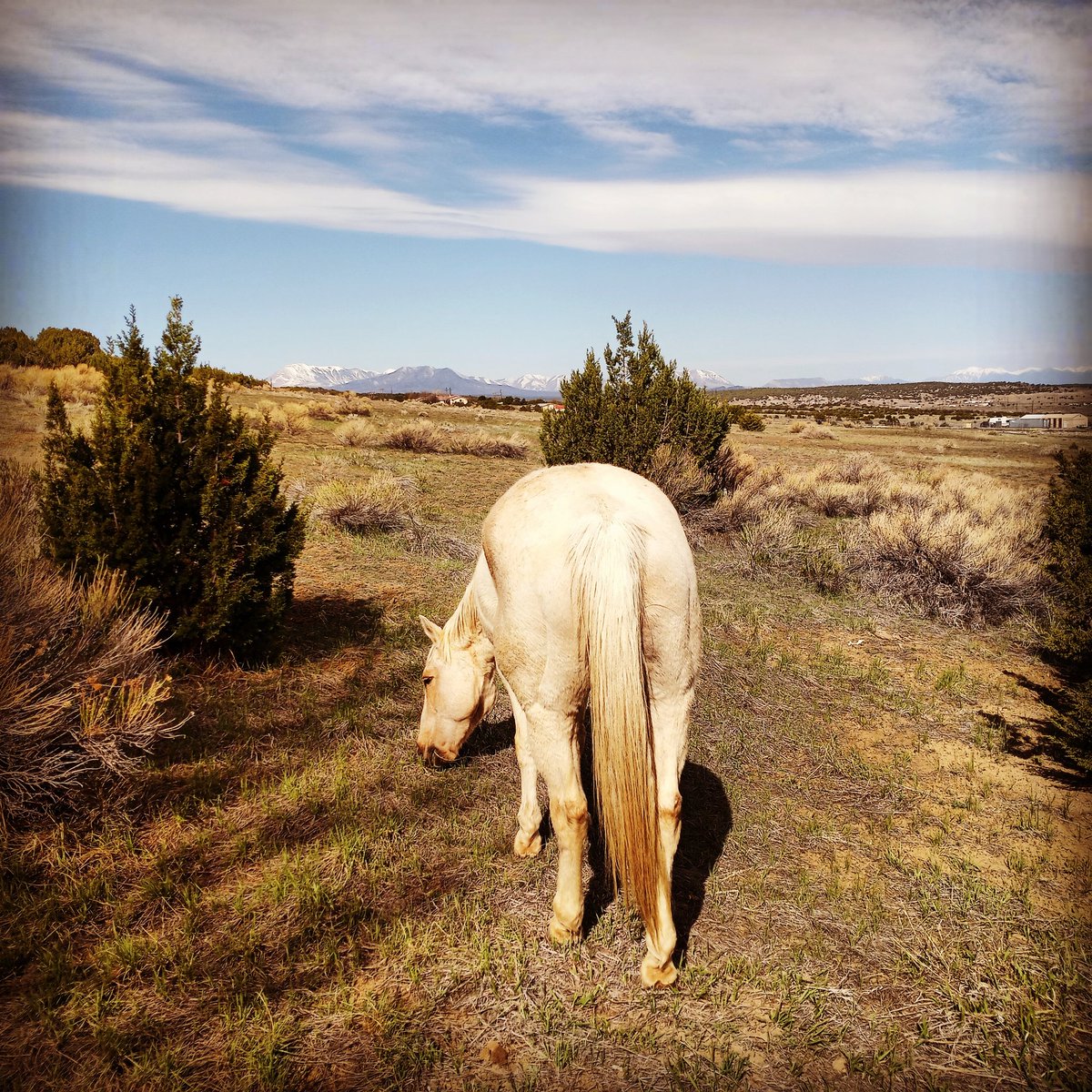 mc_pump's tweet image. 