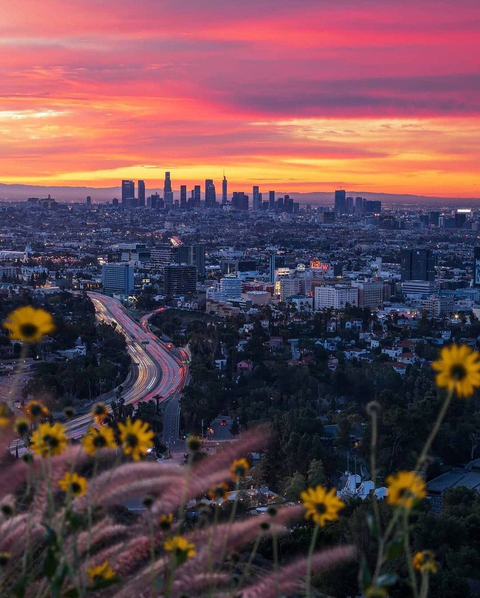 Лос анджелес калифорния