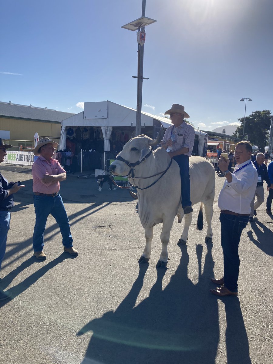 Michael Vaughan (@inchman007) on Twitter photo Beef Week <a href="/BeefAustralia/">Beef Australia</a> has been a fabulous event. Great to meet up with a few NQLD customers and meet potential new clients and industry colleagues 🐮👍😎 Beef Week <a href="/BeefAustralia/">Beef Australia</a> has been a fabulous event. Great to meet up with a few NQLD customers and meet potential new clients and industry colleagues 🐮👍😎