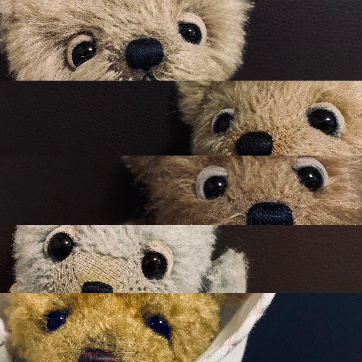 Our 3rd day here
Thanks for the all the new followers, we love you
🐻🐻🐻🐻🐻