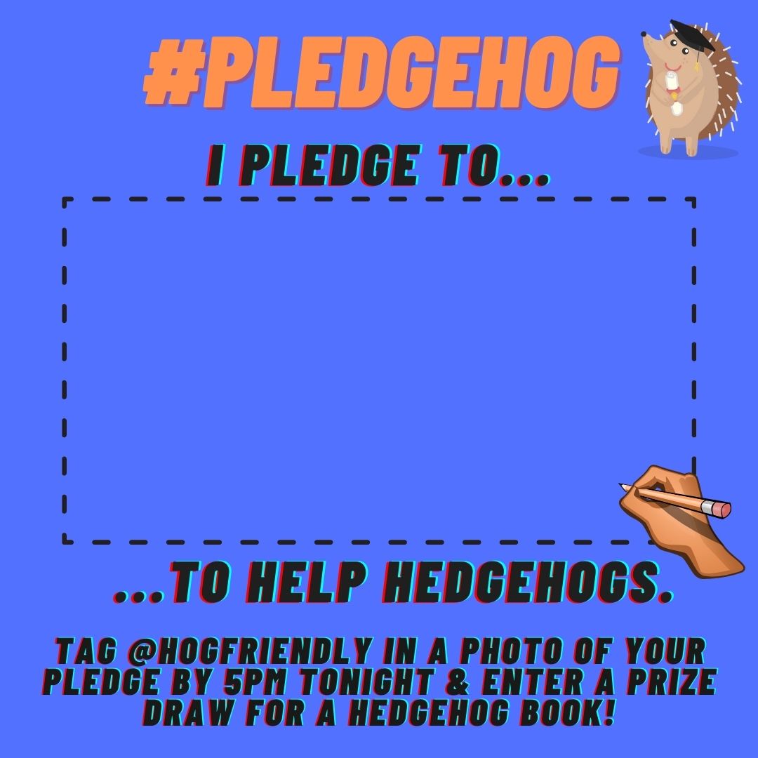 Hedgehog Friendly Campus (@hogfriendly) on Twitter photo π¨#HedgehogWeek challenge 5 π¨
This one's simple. We all want hedgehogs back from the brink, but how will you help?
πΏRewild your garden?
β»οΈLitter picks?
πΊGo organic?
Tag <a href="/hogfriendly/">Hedgehog Friendly Campus</a> in your pledge by 5PM to be in with a chance of winning a lovely book full of hog facts π¦π¦ π¨#HedgehogWeek challenge 5 π¨
This one's simple. We all want hedgehogs back from the brink, but how will you help?
πΏRewild your garden?
β»οΈLitter picks?
πΊGo organic?
Tag <a href="/hogfriendly/">Hedgehog Friendly Campus</a> in your pledge by 5PM to be in with a chance of winning a lovely book full of hog facts π¦π¦