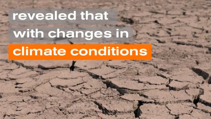 3/6 Drylands are vulnerable to desertification!Why? Watch the very nice summary video on this topic by  @ftmaestre about his  @ERC_Research in  @UA_Universidad  http://bit.ly/3fu4kmh  #ClimateChange  #drylands  #MissionClimate #ClimateAction   needed!