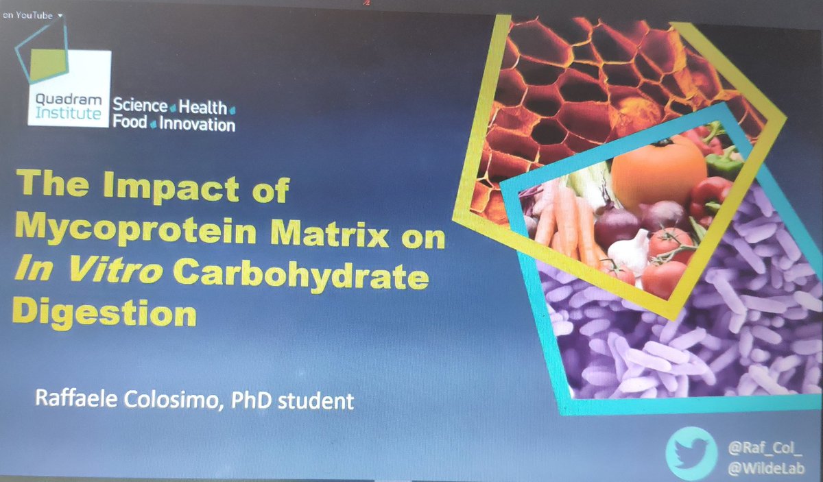 WildeLab's tweet image. Great talk from our PhD student @Raf_Col_ at the #VCFD2021 #infogest @TeagascFood. Well done! 👏👏