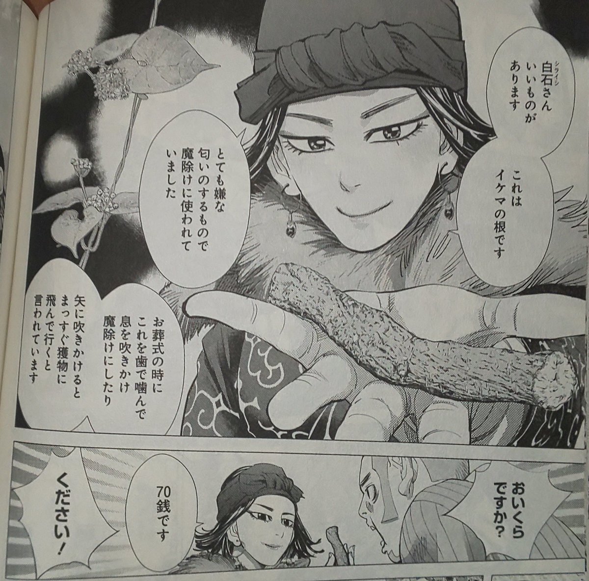 ゴールデンカムイ　イケマの根 インカラマッちゃん、白石にはイケマの根を70銭で売ってたのに鯉登少尉