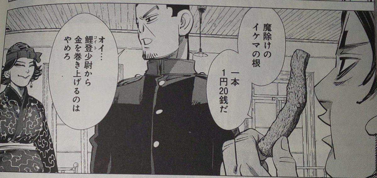 ゴールデンカムイ　イケマの根 インカラマッちゃん、白石にはイケマの根を70銭で売ってたのに鯉登少尉