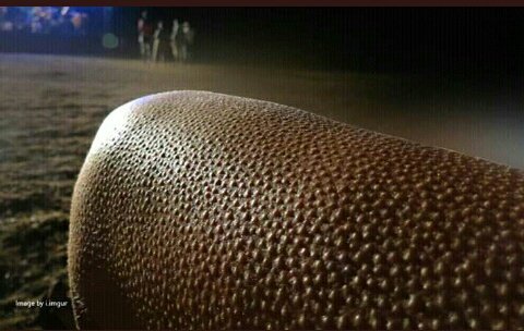 Bitch_am_urs's tweet image. Breaking News: KCSE 2020 results to be released by Education CS Magoha to....
#KCSEResults #KCSE2020Results #KCSEResults2020

KCSE Candidates: