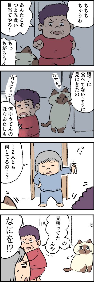 夜中にガサガサゴソゴソ……
ライバルのふたり👩🐈がしていたのは?

第115話「つまみ食い仲間」はこちらから⇒(https://t.co/aVlJo8xZSY )
『猫のおふくちゃん』の最新話は毎週金曜日に連載中!

#猫のおふくちゃん 