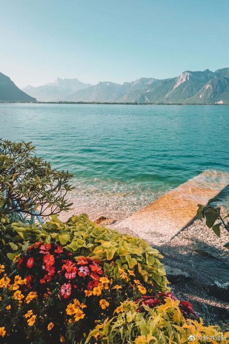 黄达民 Huangdamin519 Twitter