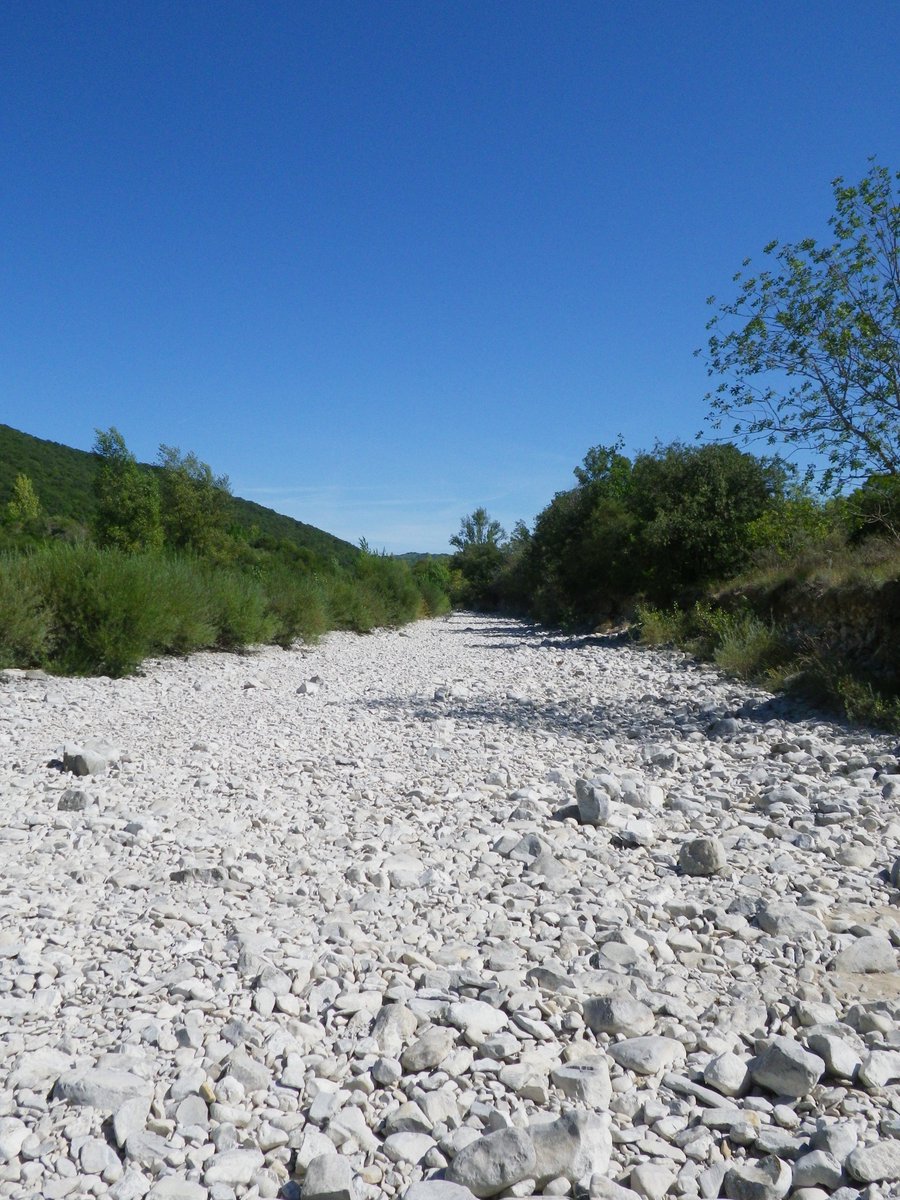 Drying River Networks and Climate Change (@dryver_h2020) on Twitter photo The past 2 days, <a href="/DRYvER_H2020/">Drying River Networks and Climate Change</a> joined the <a href="/BiodivERsA3/">BiodivERsA3</a> clustering event (#BiodivClim) to discuss joint opportunities with 21 funded projects for protecting biodiversity under climate change. Great links and perspectives ahead for fresh waters! #DryingRiverNetworks The past 2 days, <a href="/DRYvER_H2020/">Drying River Networks and Climate Change</a> joined the <a href="/BiodivERsA3/">BiodivERsA3</a> clustering event (#BiodivClim) to discuss joint opportunities with 21 funded projects for protecting biodiversity under climate change. Great links and perspectives ahead for fresh waters! #DryingRiverNetworks