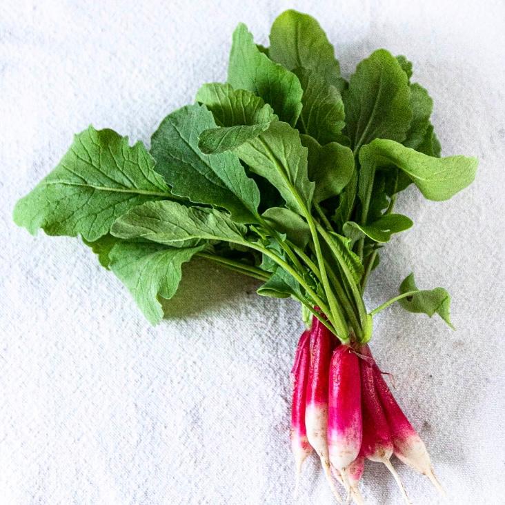 Crisp sweet little breakfast radishes make the perfect addition to your salads.

#classicvegbox #cook #chef #foodie #londonfoodies #homecook#homedelivery #restaurantquality #freshproduce #fruit #veg #salads #herbs #dairy #radish #breakfastradish