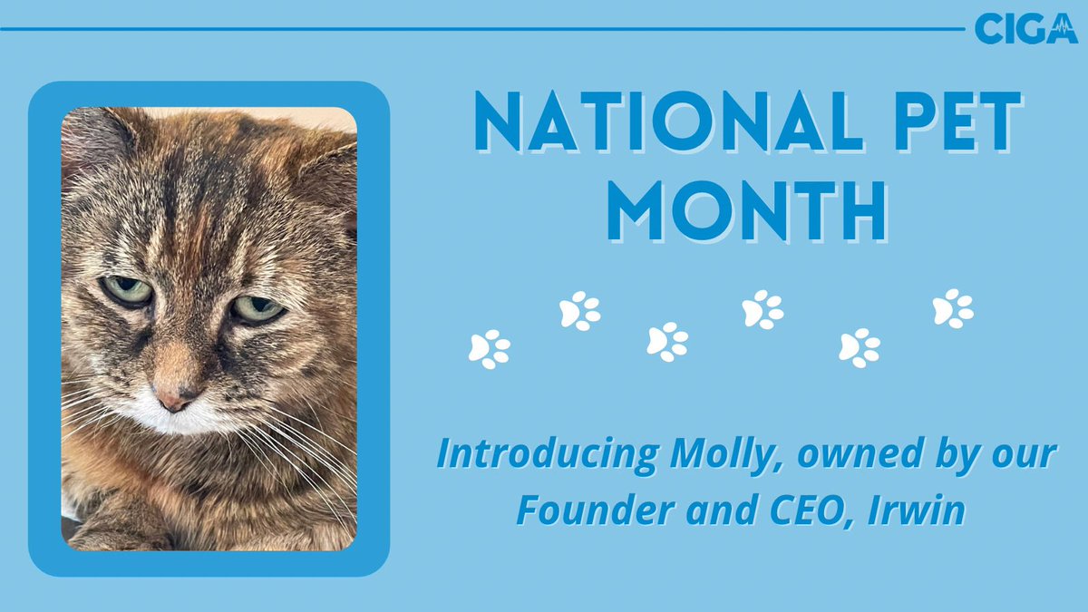 For our final #NationalPetMonth post we would like to introduce Molly to you. Molly is owned by our Founder and CEO, Irwin.
⠀
Molly often falls asleep on top of Irwin’s printer causing it to send out paper, meaning Irwin spends a lot of time retrieving paper from the floor. 🐈