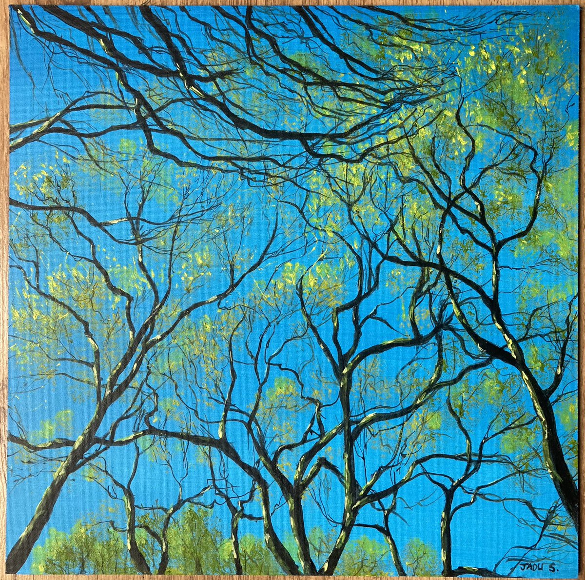 Latest work ‘Look Up’ inspired by walks in the spring - just need some warmth in the air now! Acrylic on canvas board #spring #trees #britishwoodland #woodland #originalart