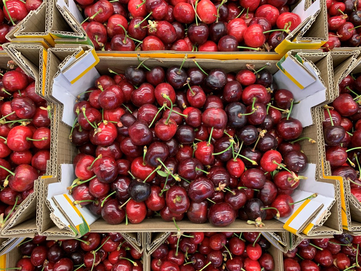 Displafruit1's tweet photo. Las primeras cerezas acaban de llegar a nuestras instalaciones. 🍒😋

En nuestros puestos en Mercavalencia contamos con marcas de primera calidad! 🥇¿Que te parecen estas? 👏🏻 https://t.co/rDzdCXubjn
