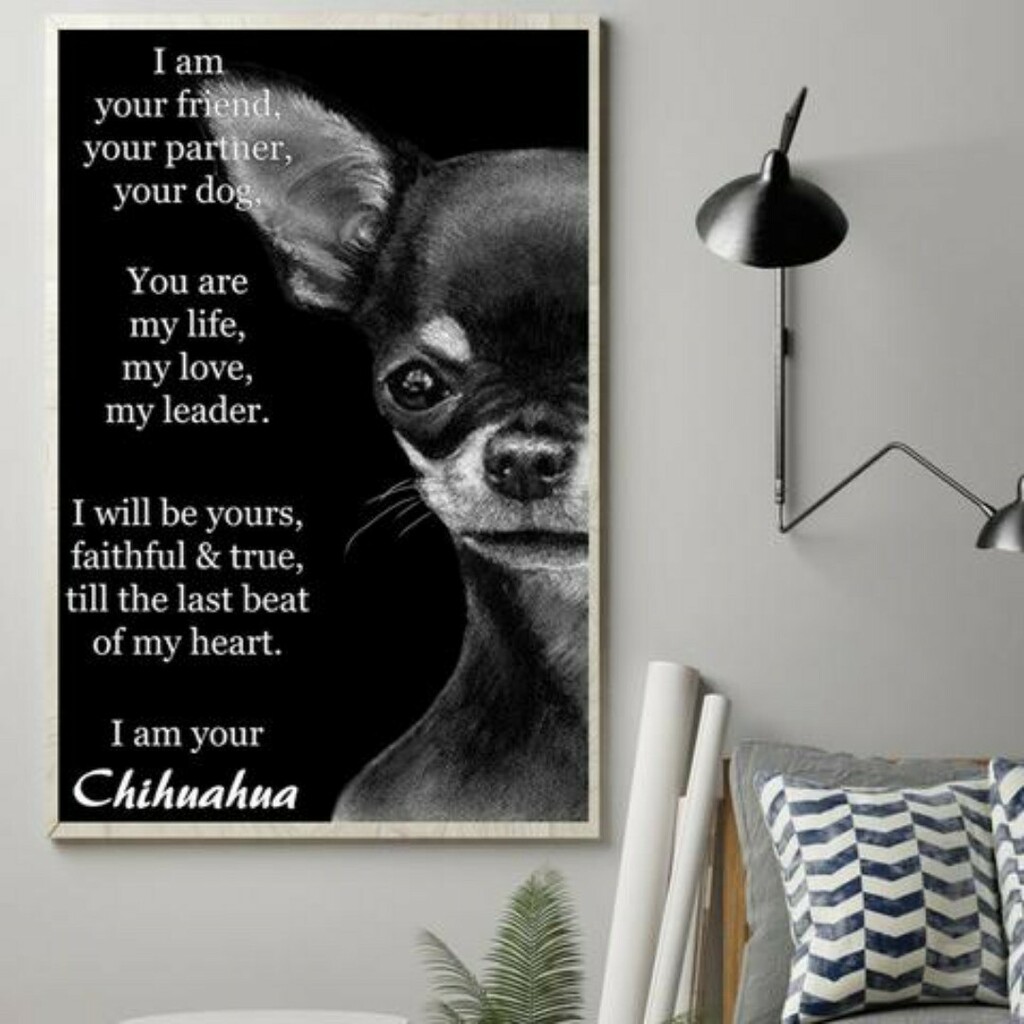 I Am Your Friend Your Partner Your Dog - I Am Your Chihuahua Quote Posters
#chihuahuaquotes #chihuahualovers #chihuahualove #chihuahua #chihuahualove #loveyourchihuahua 
#chihuahuafanatics #chihuahuafanatics #chihuahualife 
Order here >> ift.tt/2RxUEAu