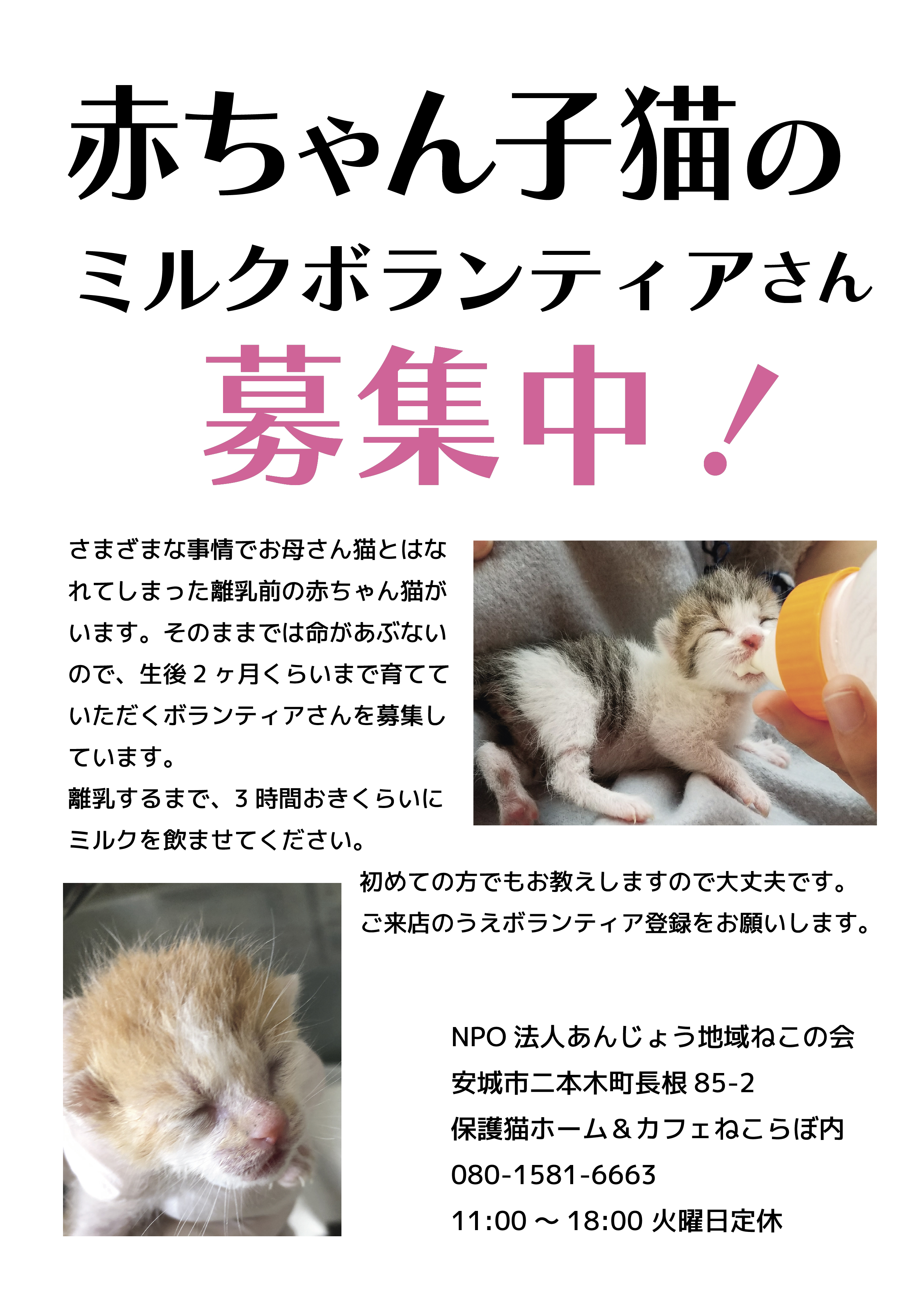 安城カフェ Twitter Search Twitter