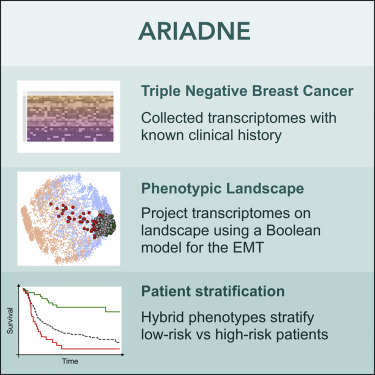 ComplexData tweet media
