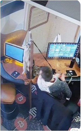 BlueBoy09863374's tweet photo. już wiadomo kto to ... nagrały go kamery, najgorsze, że kiedyś smalił cholewki do mojej córki
#jrdl https://t.co/5uthbxnHP4